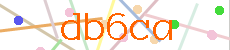 Verificador
