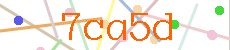 Verificador