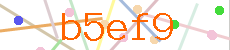 Verificador