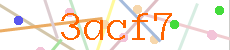 Verificador