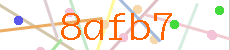 Verificador
