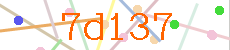 Verificador