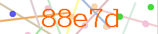 Verificador