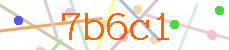 Verificador