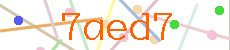 Verificador