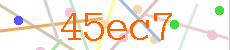 Verificador