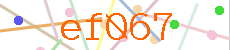 Verificador