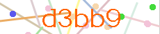 Verificador