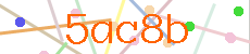 Verificador