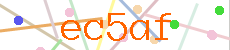 Verificador