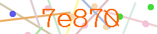 Verificador