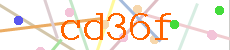 Verificador
