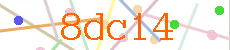 Verificador
