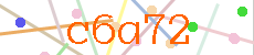 Verificador