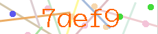 Verificador