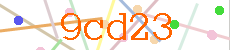 Verificador