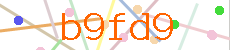 Verificador