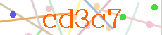 Verificador