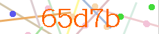 Verificador
