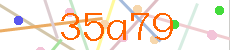Verificador