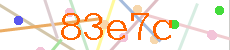 Verificador