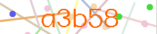 Verificador