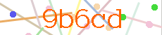 Verificador