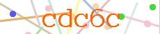 Verificador