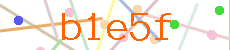 Verificador