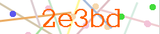 Verificador