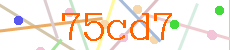 Verificador