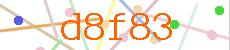 Verificador