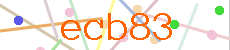 Verificador
