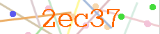 Verificador