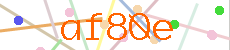 Verificador