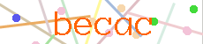 Verificador