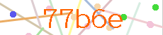 Verificador