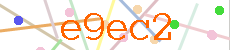 Verificador