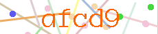 Verificador