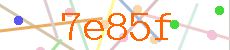 Verificador