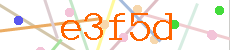 Verificador