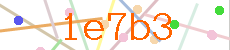 Verificador