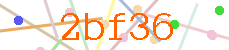 Verificador