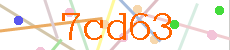 Verificador