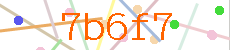 Verificador