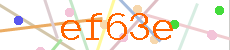 Verificador