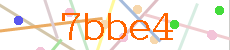Verificador