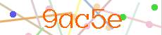 Verificador