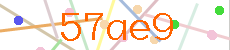 Verificador