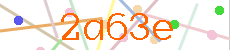 Verificador
